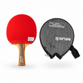 Paleta de Ping Pong 3 Estrellas